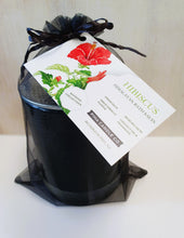 Load image into Gallery viewer, Bathing- Hibiscus