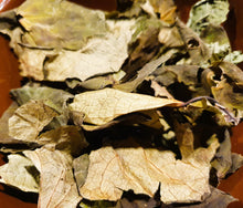 Load image into Gallery viewer, Bathing- Kawakawa