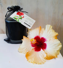 Load image into Gallery viewer, Bathing- Hibiscus