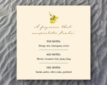 Load image into Gallery viewer, Botanical Xmas Collection Gift Set- SOLD OUT