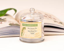 Load image into Gallery viewer, Botanical - Renga Renga