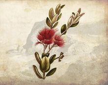 Load image into Gallery viewer, Botanical Xmas Collection Gift Set- SOLD OUT