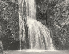 Load image into Gallery viewer, Nature - Kitekite Apothecary