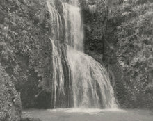 Load image into Gallery viewer, Nature Collection - Black Jar